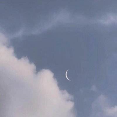 猫和老鼠欢乐互动4399版下载